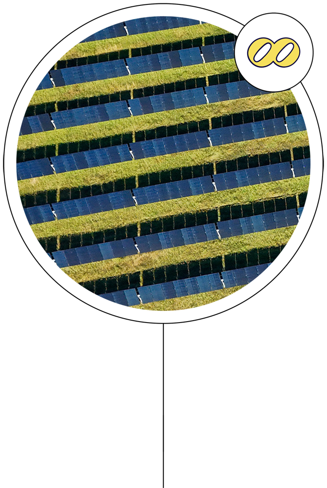 Circle Graphic with Clearloop Logo of Arcadia Solar Farm in Arcadia, Louisiana
